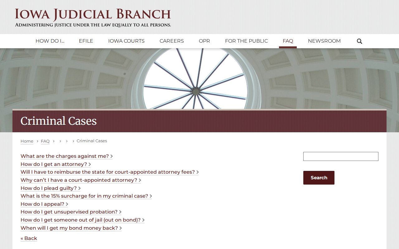 Iowa court Wayne County arrest allegation and disposition guidance